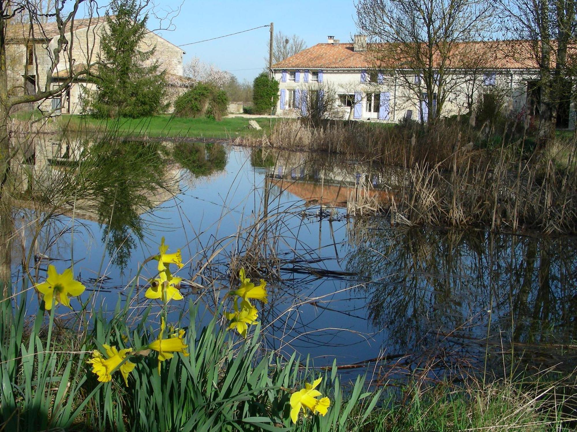 Chambres D'Hotes Entre Niort Et Marais Poitevin ベシーヌ エクステリア 写真
